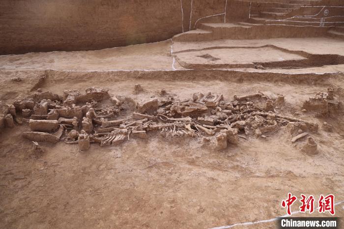 國家文物局“考古中國”重大項目通報商代最新發(fā)現(xiàn)成果